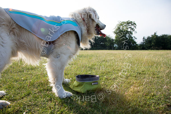 Ruffwear swamp on sale cooler sizing