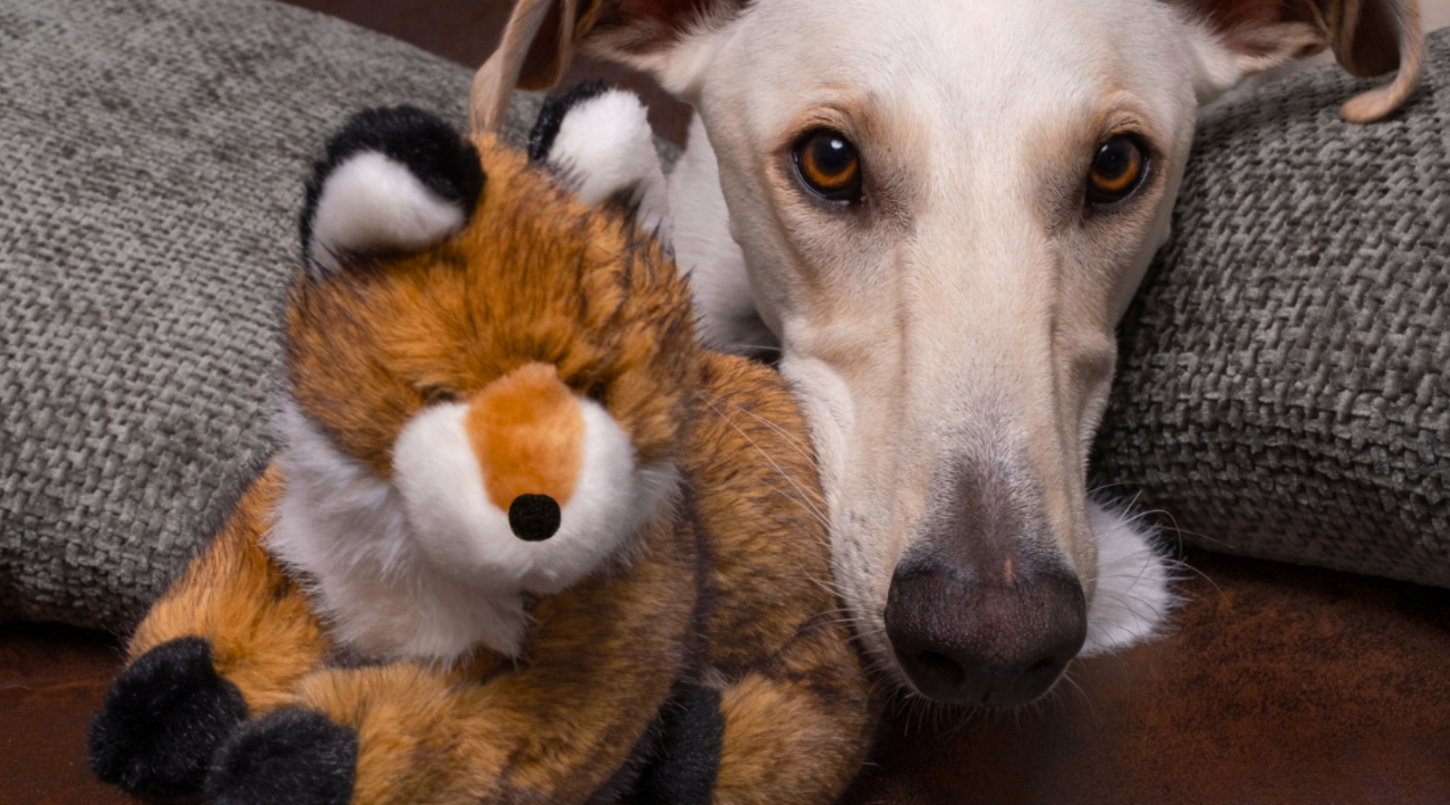 Fluff & Tuff Hush Plush Squeakerless Dog Toys