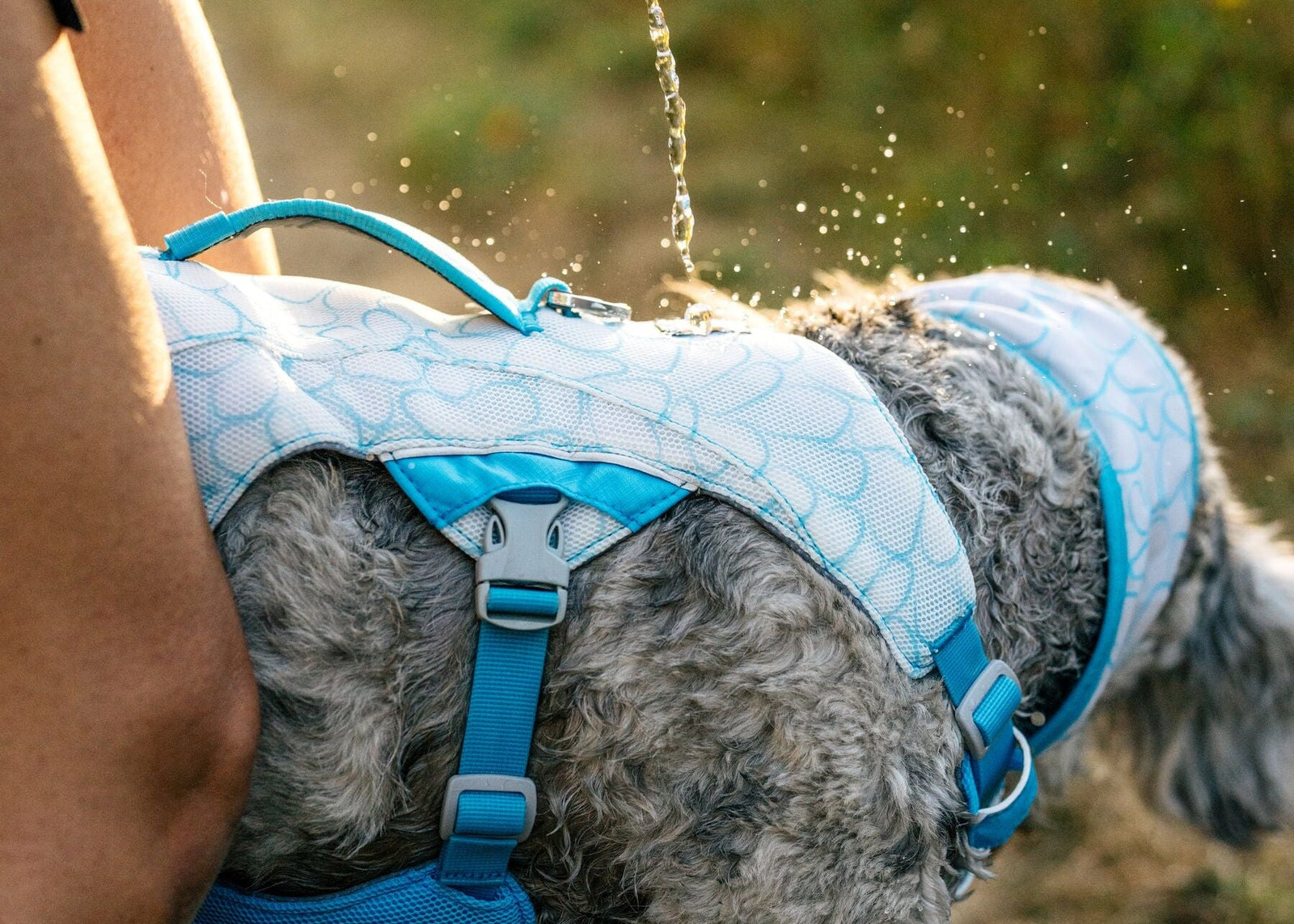 Ruffwear Swamp Cooler Collection