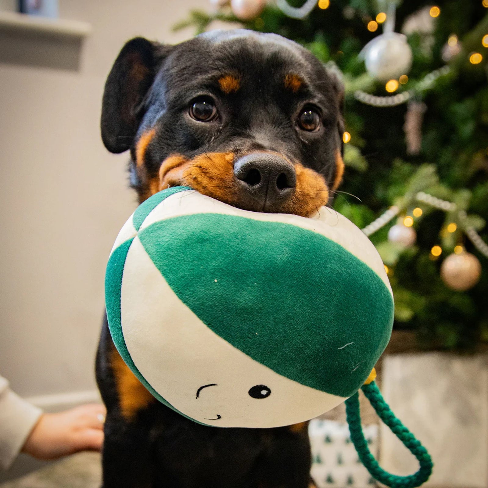 Blitzen Bauble