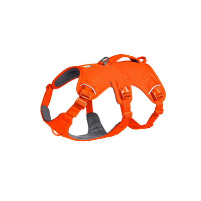 Web Master Dog Harness with Handle