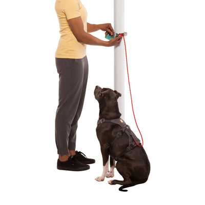 Ruffwear Hitch Hiker Dog Lead | Barks & Bunnies