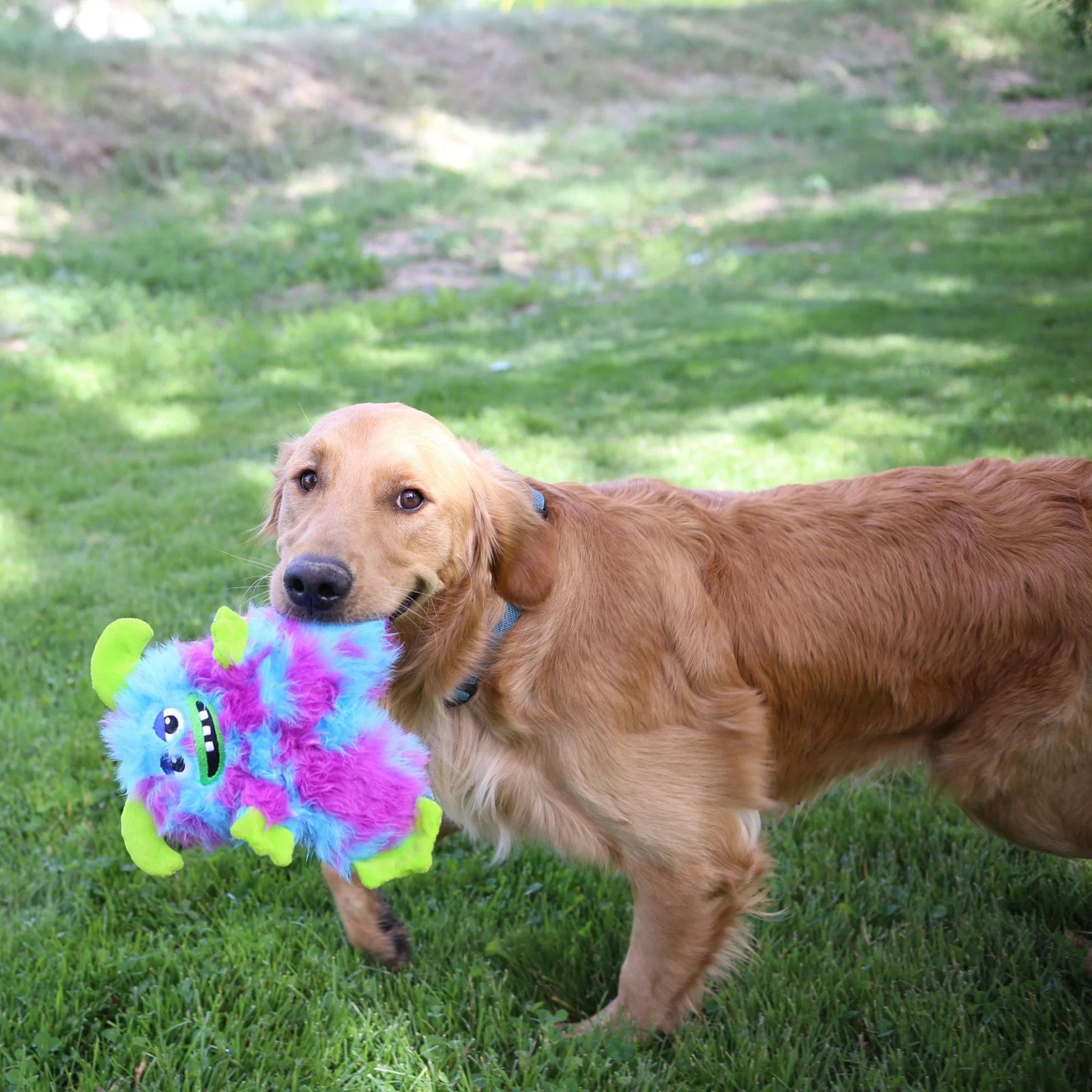 Kong Frizzles Razzle Plush Dog Toy | Barks & Bunnies