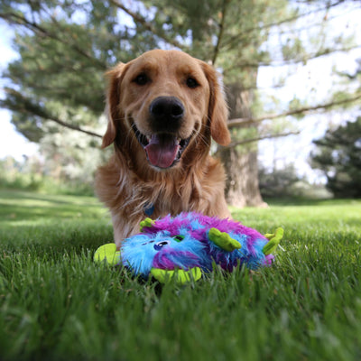 Kong Frizzles Razzle Plush Dog Toy | Barks & Bunnies