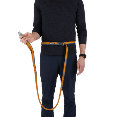Ruffwear Roamer Leash, Bungee Dog Lead | Barks & Bunnies