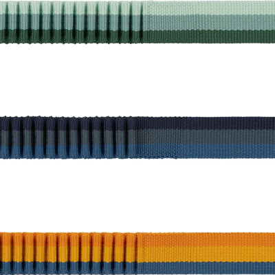 Ruffwear Roamer Leash, Bungee Dog Lead | Barks & Bunnies