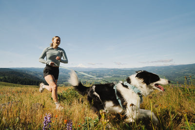 A woman trail running across an open hillside with a black and white Border Collie wearing the Ruffwear Front Range Harness on a lead, mountain views stretching out behind them