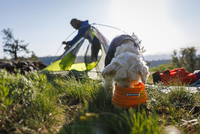 Dog drinking from a Ruffwear Bivy Bowl in Salamander Orange against a blue sky