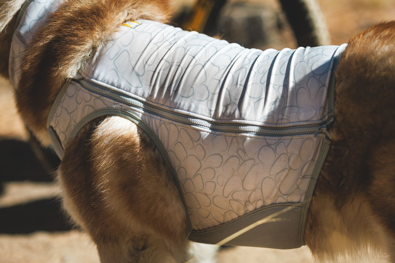 Dog wearing Ruffwear Swamp Cooler Zip Vest side profile, outdoors