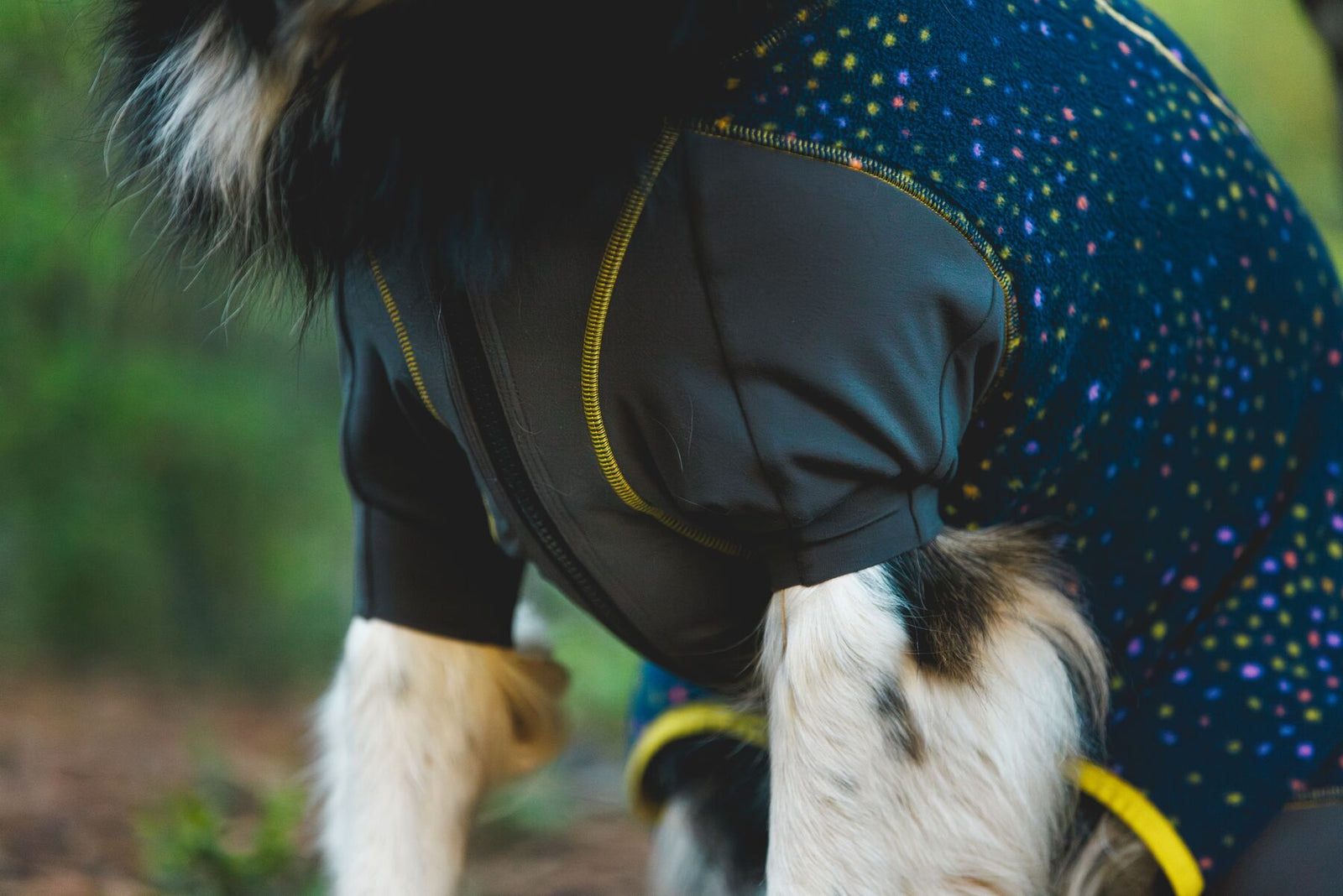 Dog wearing the Ruffwear Climate Changer Coverall, side view in natural light