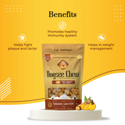 Dogsee Mini-Pops Turmeric Bite-sized Training Treats