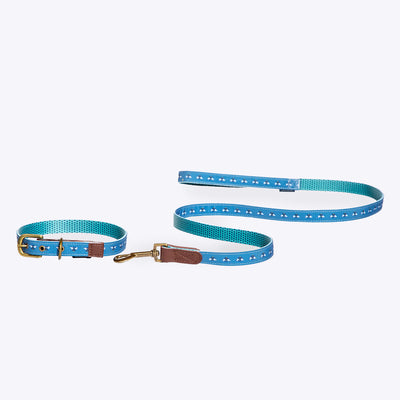 FatFace Bee Print Dog Collar/Lead