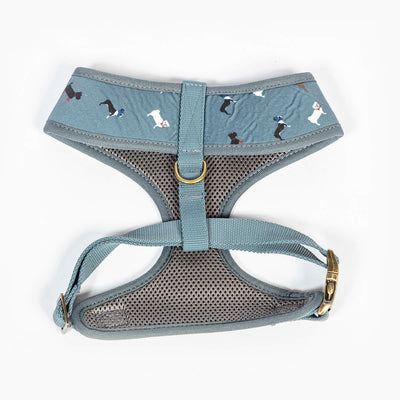 FatFace Marching Dogs Collar Lead & Harness Matching Set | Barks & Bunnies