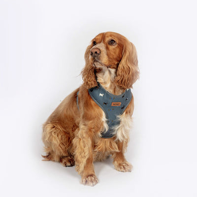 FatFace Marching Dogs Collar Lead & Harness Matching Set | Barks & Bunnies