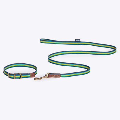 FatFace Striped Dog Collar & Lead Matching Set | Barks & Bunnies
