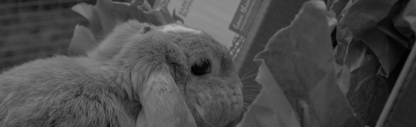 More Fun Forage Ideas