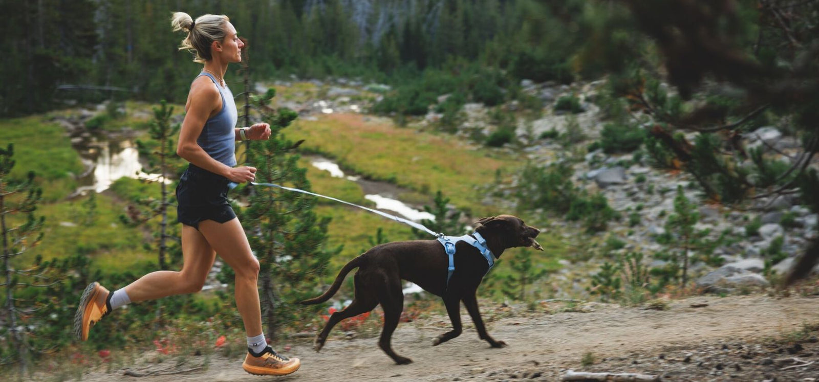 Woman trail running with a chocolate Labrador wearing the Ruffwear Front Range Flex Harness in Polar Blue with matching Front Range Flex Collar and Lead with pine trees visible.