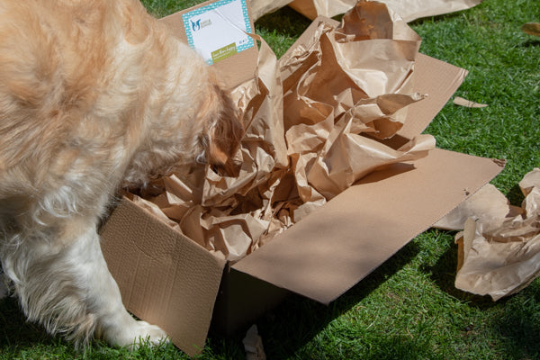 Forage First & Then Recycle