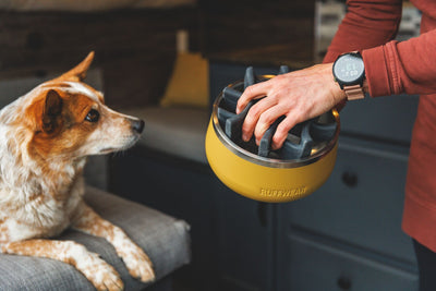 Person placing a Ruffwear Basecamp Slow Feeder Insert into a bowl for a dog