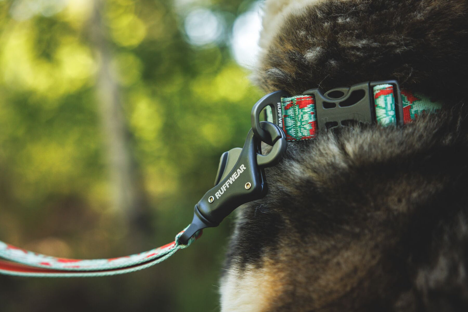 Ruffwear Crag Reflective Dog Collar and matching Crag Leash in Tropical Bloom worn on a dog outdoors - sage green and burnt orange floral pattern with side-release buckle - Barks & Bunnies, UK Ruffwear stockist