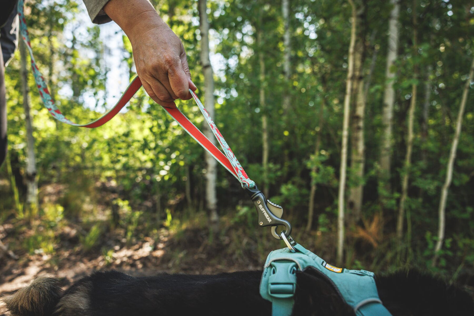 Ruffwear Crag Reflective Lead in Tropical Bloom held by a person on a woodland trail, Talon Clip connected to a Ruffwear Front Range harness in River Rock Green on a dark-coated dog