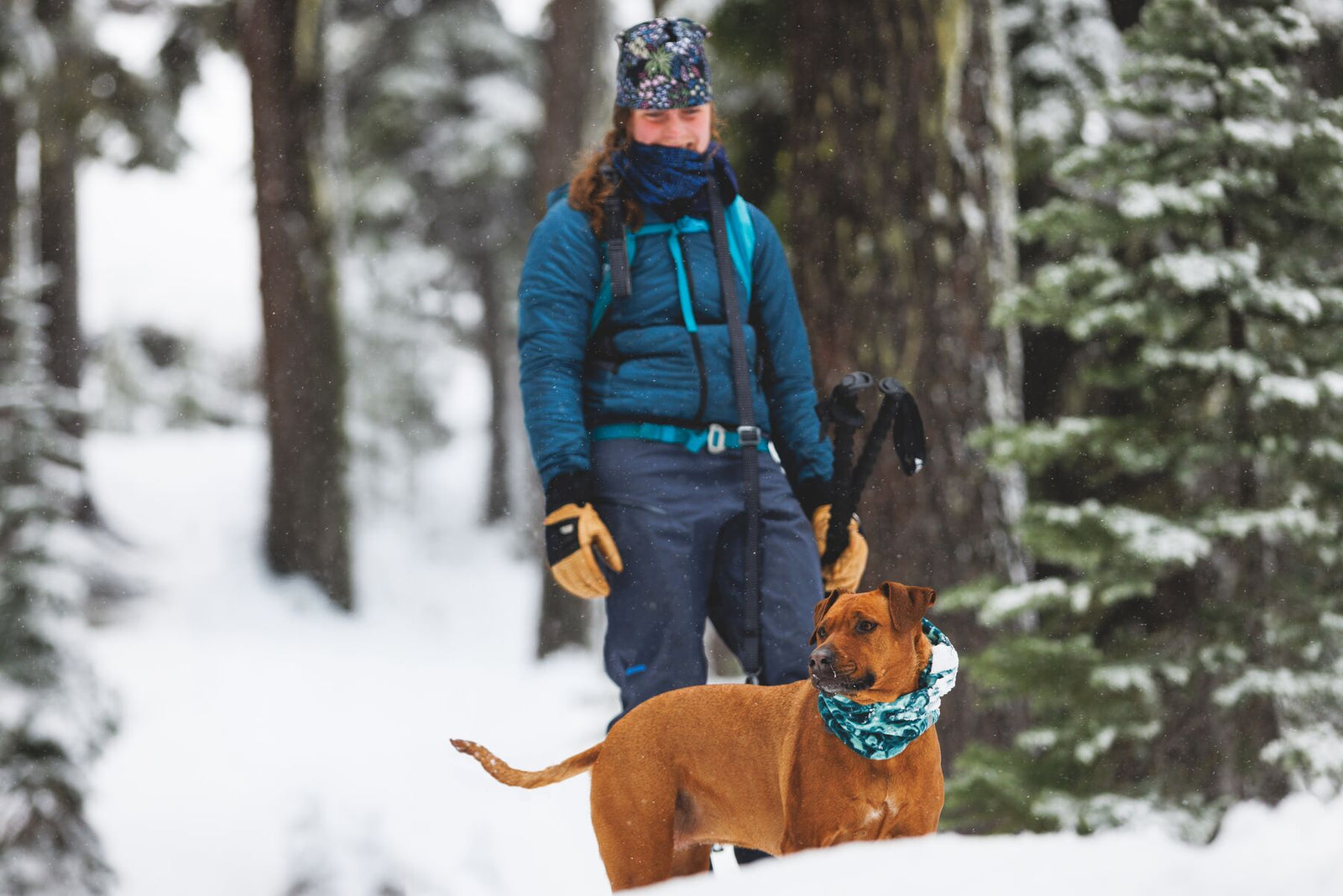 Owner and Rhodesian Ridgeback walking together in a snowy forest — owner wearing a neck gaiter and winter layers, dog wearing the Ruffwear Mt. Hoodie dog neck gaiter in Deep Teal, both dressed for the cold