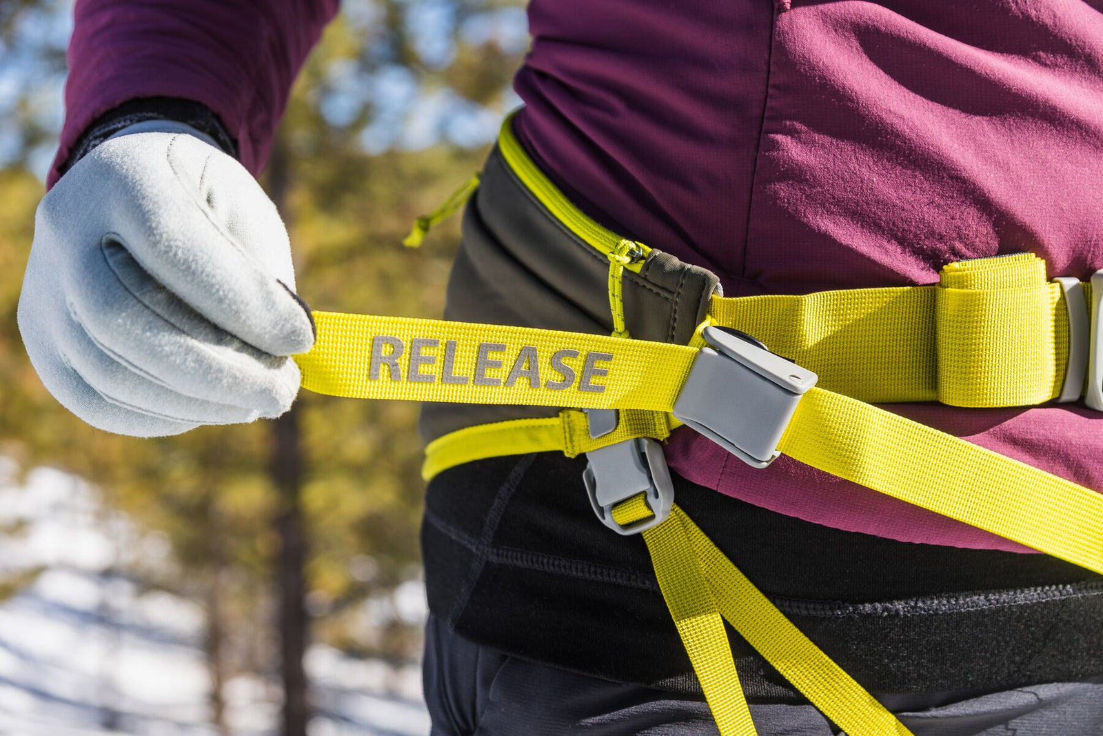 Close-up of a gloved hand pulling the yellow RELEASE quick-disconnect tow strap on the Ruffwear Omnijore hip belt, central side-release buckle and Lichen Green waistband visible, worn by a skier in a purple jacket with snowy pine trees in the background