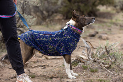 Ruffwear Climate Changer Recycled Fleece Winter Dog Coat | Barks & Bunnies