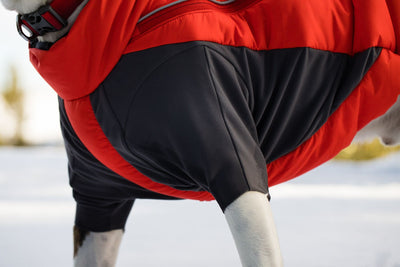 Ruffwear Furness Water Repellant Padded Dog Coat | Barks & Bunnies