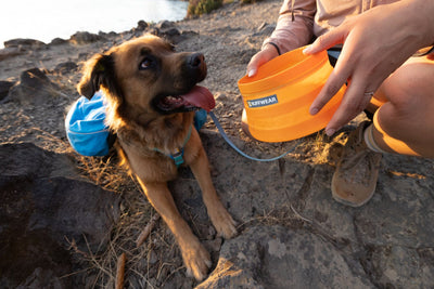 Ruffwear Bivy Bowl, Travel Dog Bowl Collapsible | Barks & Bunnies