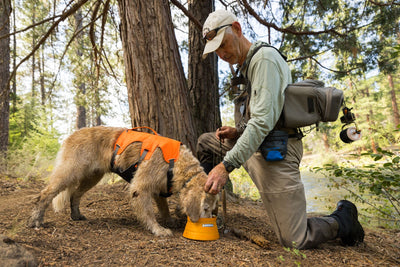 Ruffwear Bivy Bowl, Travel Dog Bowl Collapsible | Barks & Bunnies