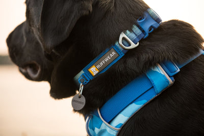 Ruffwear Front Range Dog Collar, Durable Dog Collar | Barks & Bunnies