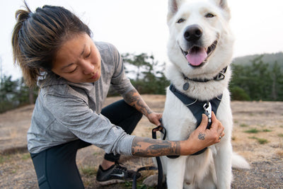 Ruffwear Front Range Harness Front Clip Dog Harness | Barks & Bunnies