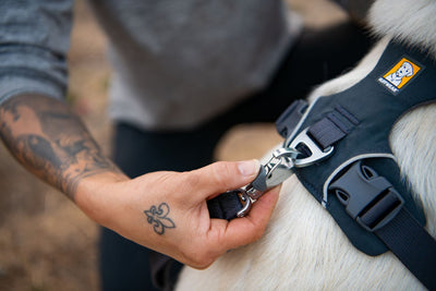 Ruffwear Front Range Lead with Matching Harness Set | Barks & Bunnies