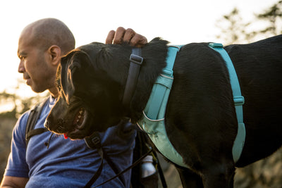 Ruffwear Front Range Harness Front Clip Dog Harness | Barks & Bunnies
