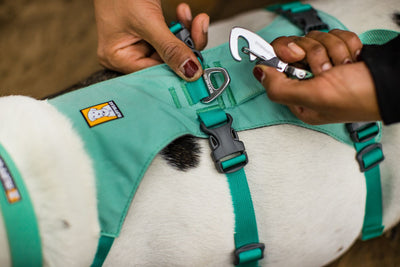 Ruffwear Flagline Lightweight, Multi-Use Dog Lead | Barks & Bunnies