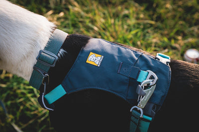 Ruffwear Hi & Light Dog Harness | Barks & Bunnies