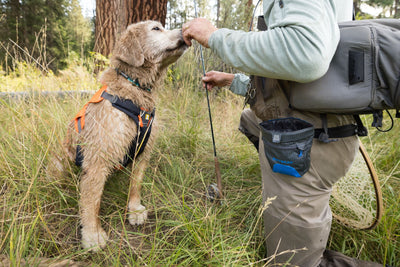 Ruffwear Treat Trader, Dog Treat Bag for Training | Barks & Bunnies