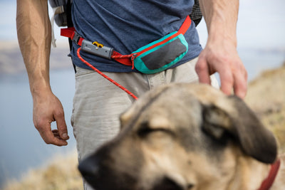 Ruffwear Hitch Hiker Dog Lead | Barks & Bunnies