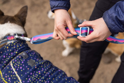 Ruffwear Crag Ex Lead, Adjustable Waist Worn Dog Lead | Barks & Bunnies