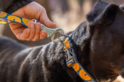 Ruffwear Crag Lead, Hand-Held or Waist Worn Dog Lead | Barks & Bunnies