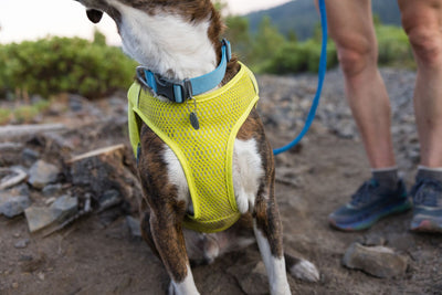 Ruffwear Trail Runner Running Vest Dog Running Coat | Barks & Bunnies
