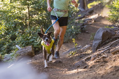 Ruffwear Trail Runner Lead Dog Running Lead | Barks & Bunnies