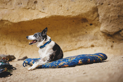 Ruffwear Basecamp Dog Bed, Lightweight Dog Travel Bed | Barks & Bunnies