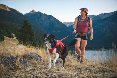 Woman hiking with a black and white dog wearing the Ruffwear Web Master harness in Red Canyon, mountain lake and peaks visible behind them, connected by a red lead