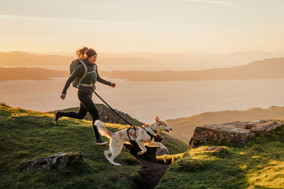 Woman trail running on a hilltop at sunset with a dog on the Ruffwear Ridgeline Lead, loch and mountains in the background