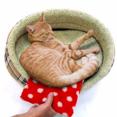 PetLife Hotties Heat Pad alternative to Snuggle Safe | Barks & Bunnies