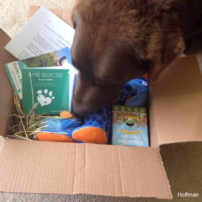 Happy Dog Box - Classic