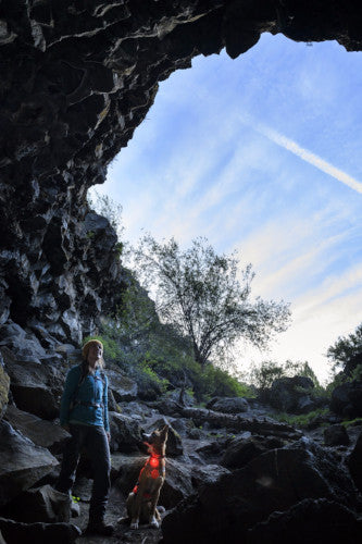 Ruffwear The Beacon Dog Safety Light USB Rechargable | Barks & Bunnies