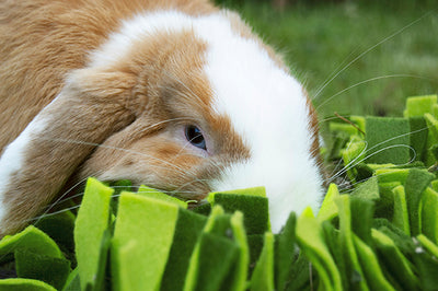 Rosewood Snuffle Forage Mat for Rabbits & Small Animals | Barks & Bunnies
